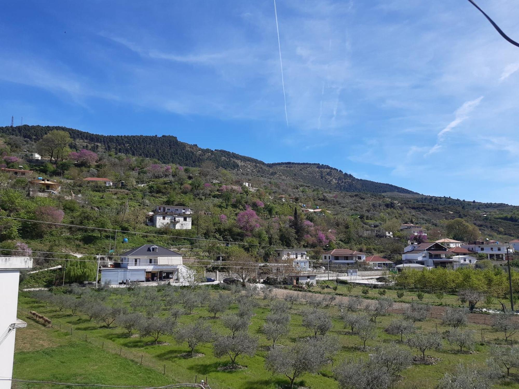 Villa Ari
